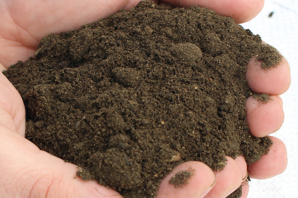 What Causes Low Soil Fertility